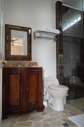 a bathroom with a toilet and a sink and a mirror at Hotel Boutique Villa Casuarinas in Cali