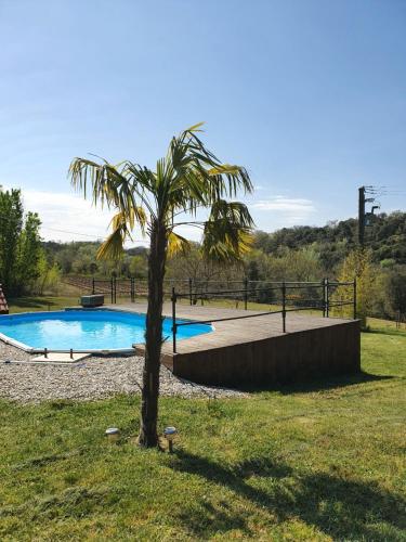 Saint-Julien-de-Peyrolas的住宿－Mas des gardies，游泳池旁的棕榈树