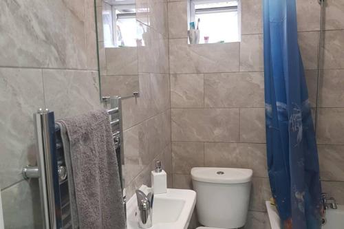 W łazience znajduje się toaleta, umywalka i prysznic. w obiekcie Homely Experience for Contractors,Grays w mieście Grays