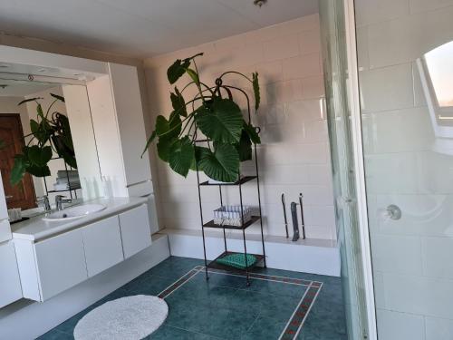 Koupelna v ubytování Logement Hellevoetsluis