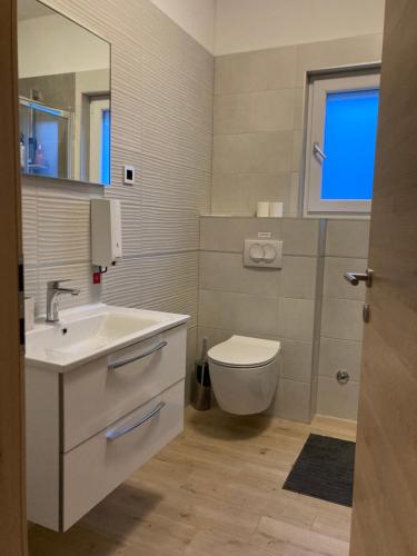 uma casa de banho com um lavatório, um WC e uma janela. em Tara house em Zavala