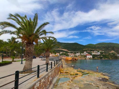 a group of palm trees next to a body of water at Anemolia Studios in Loutra Edipsou