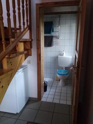 Baño pequeño con aseo y escalera en Ferienhaus Ullrich en Augustusburg