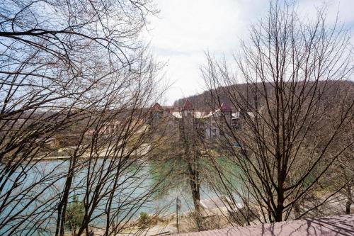 a view of a river with trees in the foreground at Готель-ресторан Каміла in Polyana