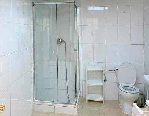 La salle de bains est pourvue d'une douche en verre et de toilettes. dans l'établissement Nerja CityCenter Bajo, à Nerja