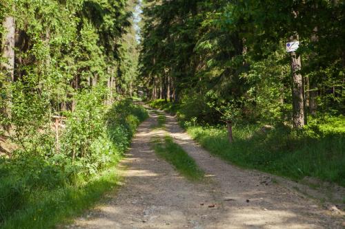 a dirt road with trees on both sides at Pension Berten Strašice in Strašice