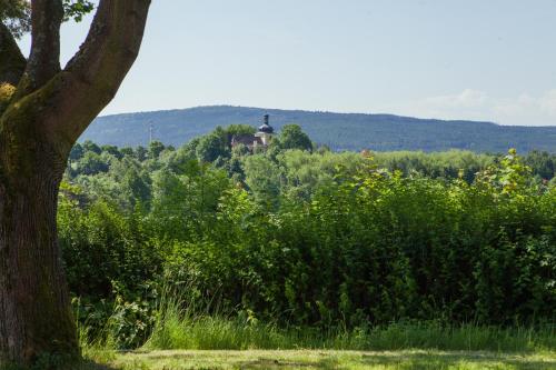 a house in the middle of a field with a tree at Pension Berten Strašice in Strašice