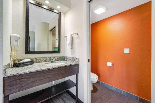 a bathroom with a sink and a toilet and a mirror at Sleep Inn Leesburg Chain of Lakes in Leesburg