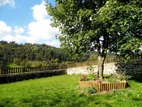 a tree in a field next to a stone wall at Holiday Home Le Haut d'Ancette - AJA100 by Interhome in Saint-Julien-dʼAnce