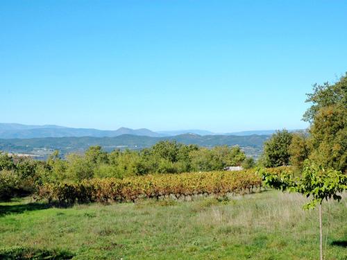 un champ avec un tas d'arbres et d'herbe dans l'établissement Holiday Home Lozard by Interhome, à Barjac