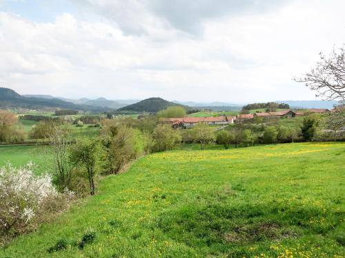 a field of green grass with mountains in the background at Holiday Home Le Chomeil by Interhome in Chamalières-sur-Loire