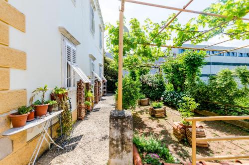 un patio con macetas y un edificio en Guest House Ivana, en Dubrovnik