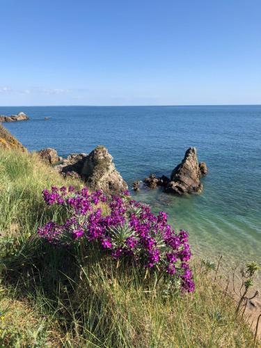 un grupo de flores púrpuras en una colina junto al océano en Villa Aziliz - Face Mer en Saint-Nazaire