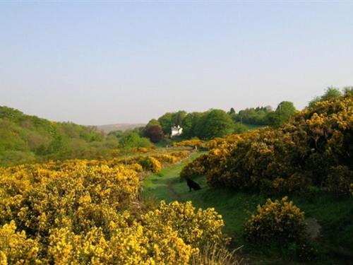 Lydgate House Hotel