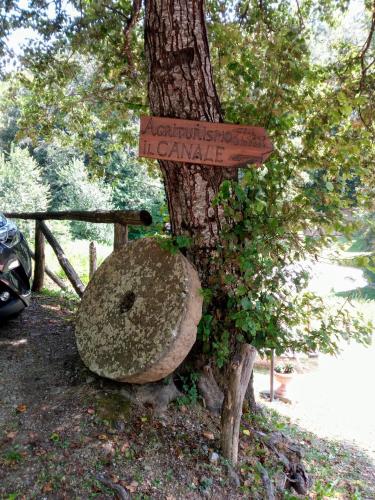 Agriturismo il canale – Photos 4