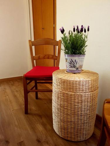 a wicker table with a potted plant and a chair at Ristorante Gordolese con alloggio in Gordola