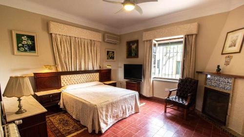 a bedroom with a bed and a television in it at Hacienda El Corchuelo in Marchena