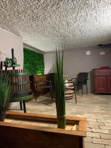 a living room with a table and chairs and a plant at Rubin in Doba