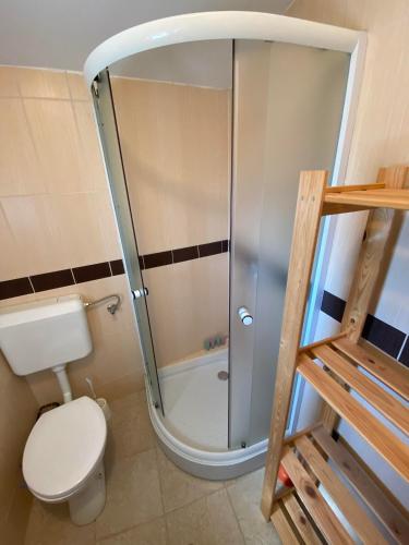 a bathroom with a glass shower with a toilet at Beachfront Apartment in Vir