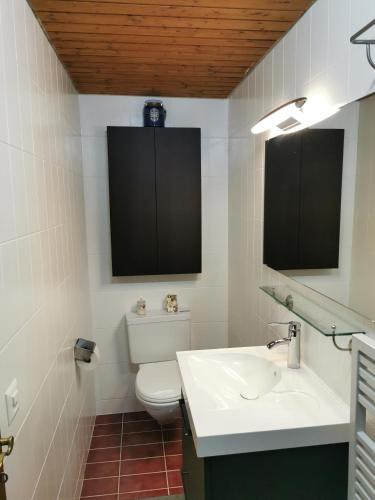 RudolfstettenにあるFerienwohnung und B&B Chasa Janettの白いトイレと洗面台のあるバスルーム