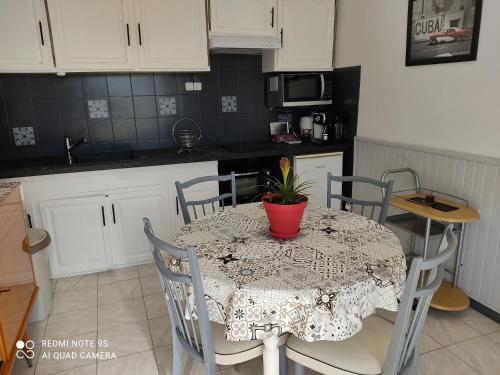 - une cuisine avec une table et une plante en pot dans l'établissement La Bedosse, à Alès