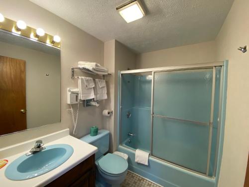 Economy Lodge 682 Main St Sturbridge tesisinde bir banyo