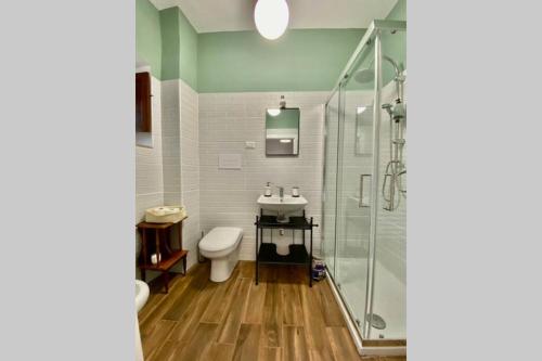 a bathroom with a shower and a toilet and a sink at La Casetta di Rosie, alla Torre Guevara in Potenza