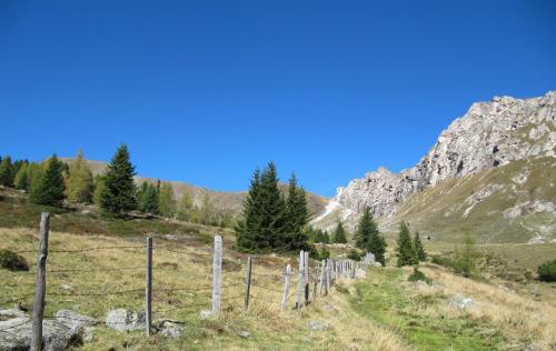 a fence in a field with mountains in the background at Ferienhäuser Tröster in Bad Kleinkirchheim