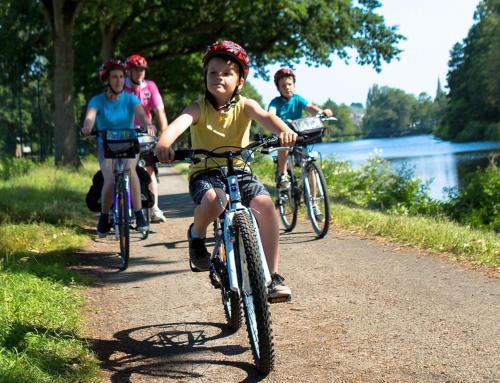 Photo de la galerie de l'établissement Central Brittany B and B, à Rohan
