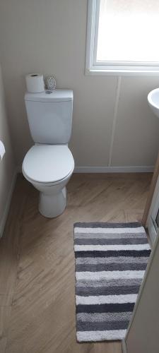 a bathroom with a white toilet and a rug at The Hackle Hot Tub Retreat in Felton