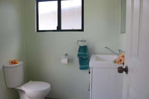 a bathroom with a toilet and a sink and a window at Ranginuis Retreat in Arutanga
