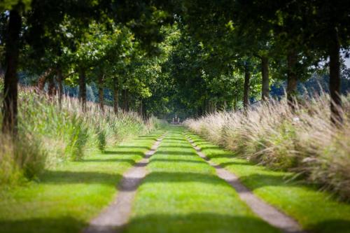 a field of grass with trees and dirt roads at Porcus Campus in Aarle-Rixtel