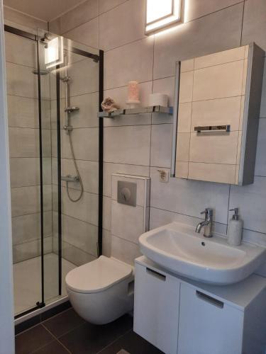 ein Bad mit einem WC, einem Waschbecken und einer Dusche in der Unterkunft Privatzimmer König in Kassel
