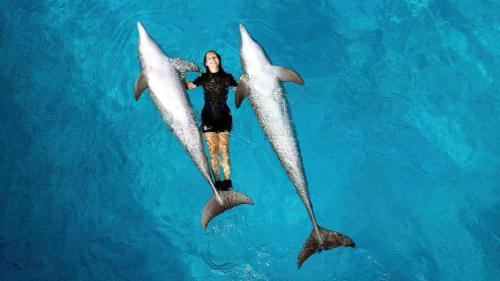 een persoon met twee dolfijnen in het water bij Villa Amendoeiras 52 in Albufeira