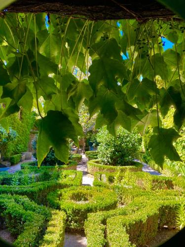 Gallery image of Casa dos Barros Winery Lodge by Vintage Theory in Sabrosa