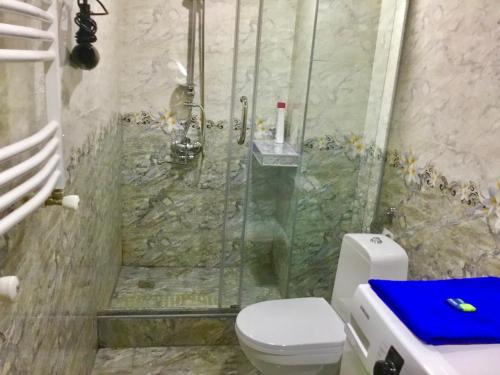 ein Bad mit einer Dusche und einem WC in der Unterkunft Welcome Genatsvale in Tbilisi City