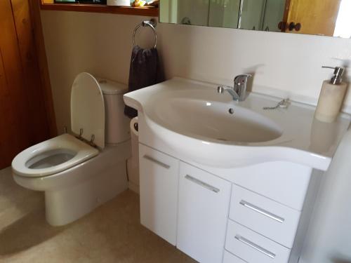 La salle de bains est pourvue d'un lavabo blanc et de toilettes. dans l'établissement Awesome View Cottage, sur l’île de la Grande Barrière