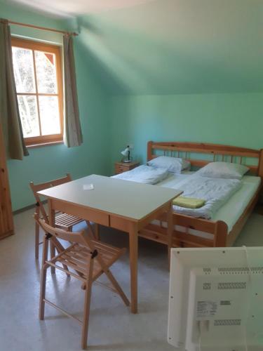 1 dormitorio con cama, mesa y escritorio en Johannesbachklamm, en Unterhöflein