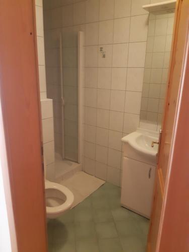 a small bathroom with a toilet and a shower at Johannesbachklamm in Unterhöflein