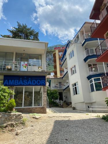 Billede fra billedgalleriet på Pensiunea Ambasador i Băile Herculane