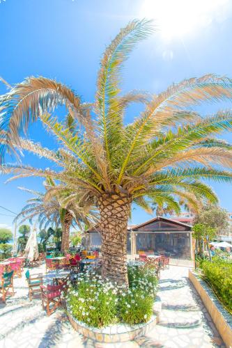 a palm tree in a patio with tables and chairs at Angela Beach Hotel & Apts in Roda