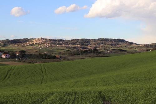 a green field with a hill in the background at Antiche Fonti in Bibbona