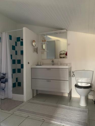 bagno con lavandino bianco e servizi igienici di Mas de Pascalette a Montauroux