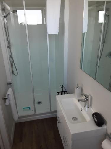 a white bathroom with a shower and a sink at Two Thumbs Unit 1 in Lake Tekapo
