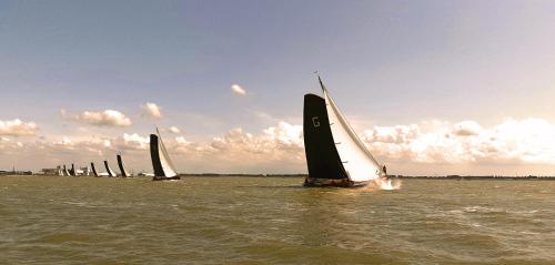 a group of sailboats sailing in the water at Hotel Stedswal in Sloten
