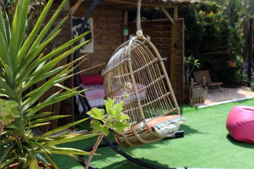 a bird cage hanging from a plant in a garden at Blacksheep Sagres Guesthouse & Surf in Sagres