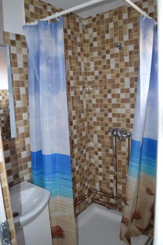 a bathroom with a shower with a toilet and a sink at La Vasile la Cazan in Mara
