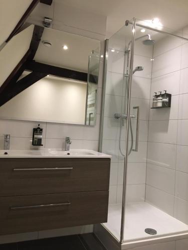 
a bathroom with a shower, sink, and mirror at Uylenhof Hotel in Den Bosch

