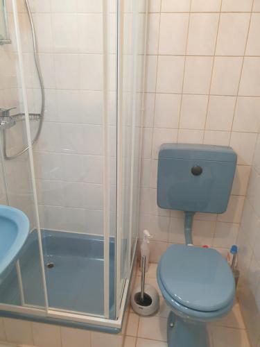 Angelbachtal的住宿－Am Schloss，浴室配有蓝色卫生间和淋浴。