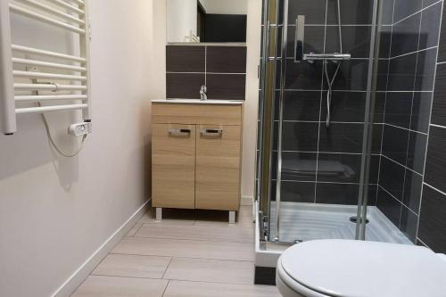 a bathroom with a toilet and a glass shower at Le Duplex des QUAIS in Blois